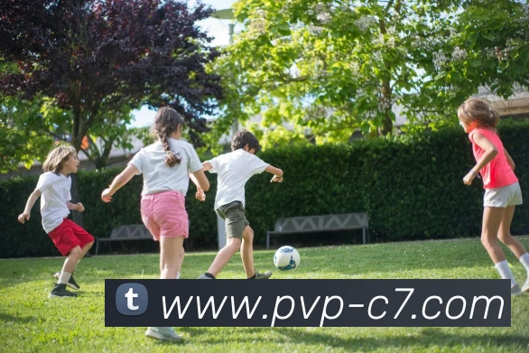 c7娱乐服务体系